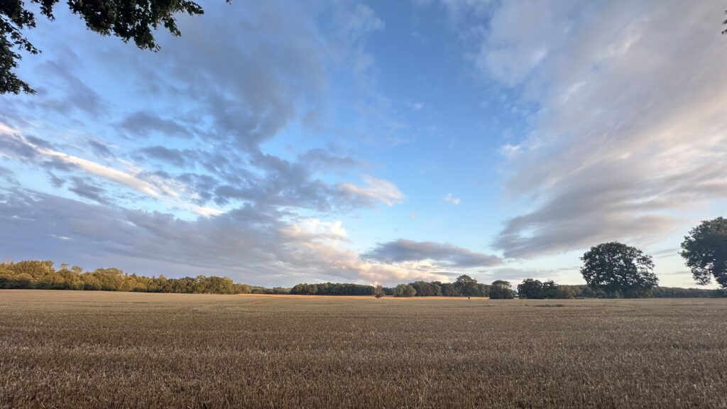 A bright blue sky with a few grey clouds floating above a cut wheat field.
